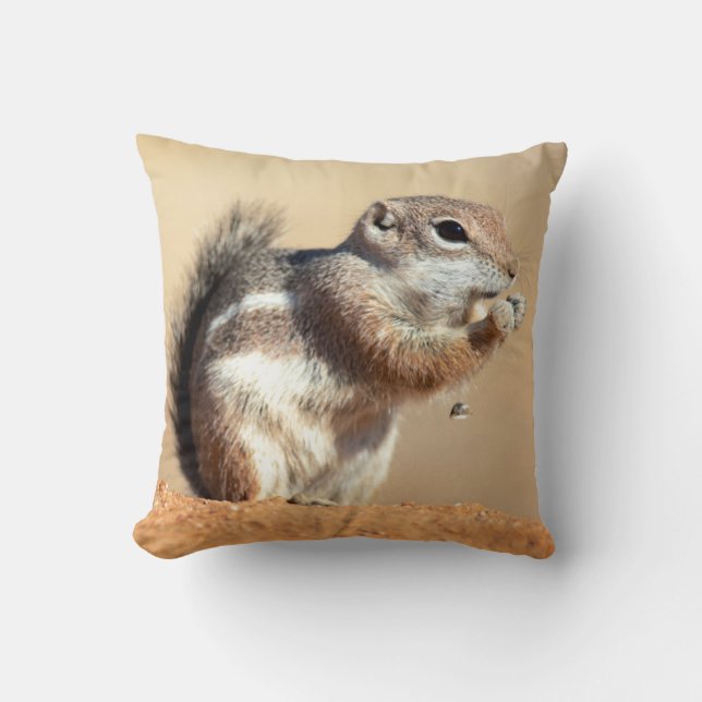 Harris's antelope squirrel (Ammospermophilus) Cushion (Front)
