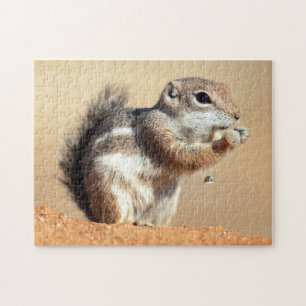 Harris's antelope squirrel (Ammospermophilus) Jigsaw Puzzle
