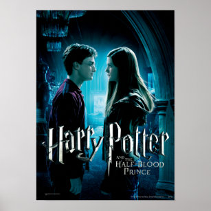 Harry and Ginny 1 Poster