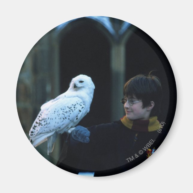 Harry and Hedwig 2 Magnet (Front)