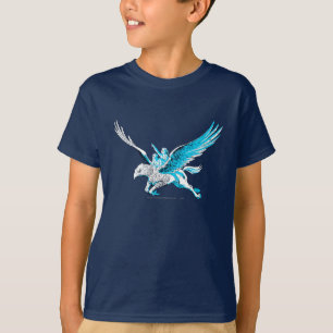 Harry and Hermione on a Hippogriff T-Shirt