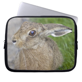 Harry Hare Laptop Sleeve