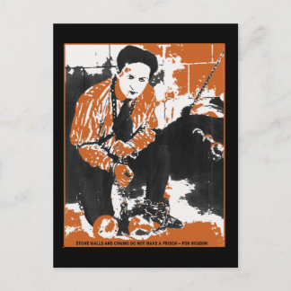 HARRY HOUDINI Black and Orange Art Illustration Postcard