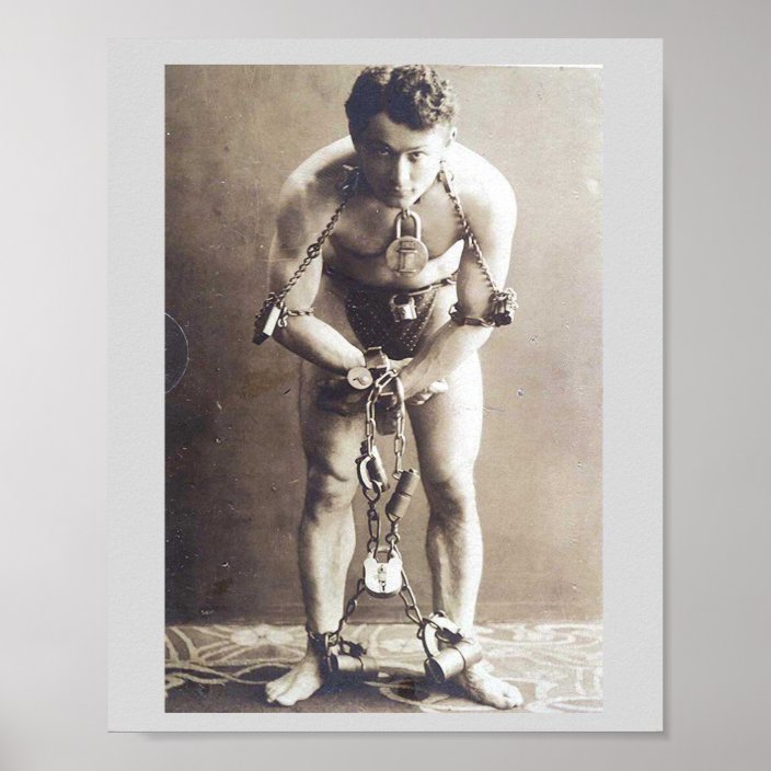 the amazing harry houdini the amazing harry houdini