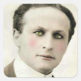 Harry Houdini Stickers