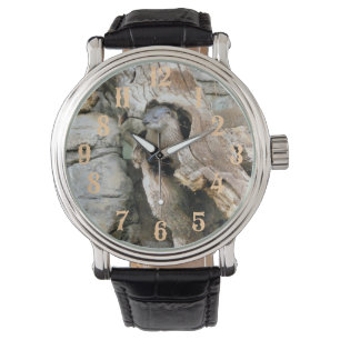Harry Otter Watch