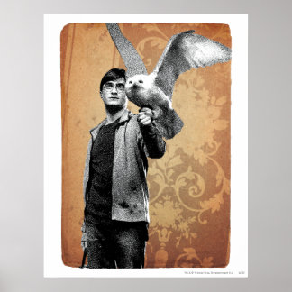 Harry Potter 12 Poster