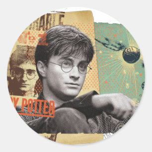Harry Potter 13 Classic Round Sticker