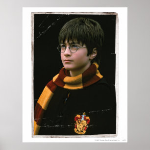 Harry Potter 2 Poster