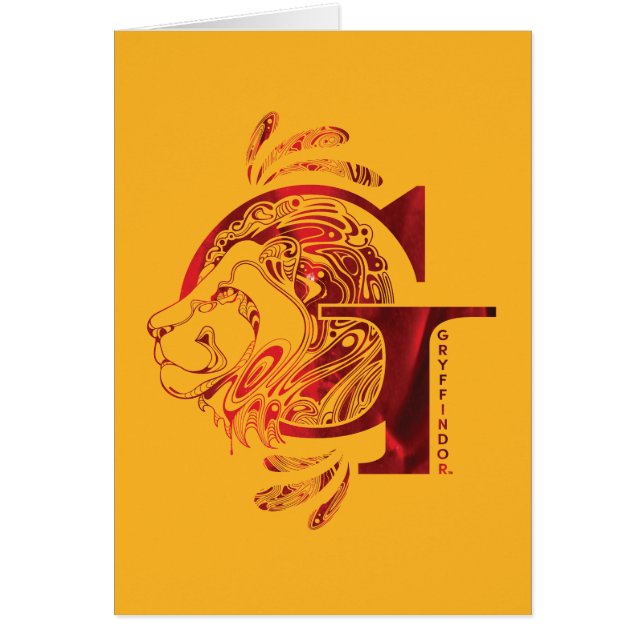 Harry Potter | Aguamenti GRYFFINDOR™ Graphic (Front)