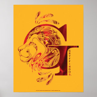 Harry Potter | Aguamenti GRYFFINDOR™ Graphic Poster