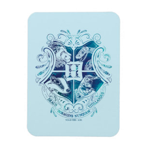 Harry Potter Aguamenti HOGWARTS™ Crest Magnet