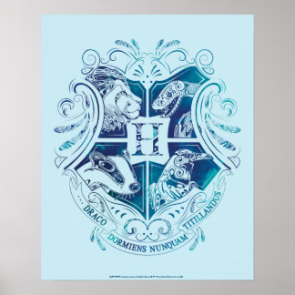 Harry Potter | Aguamenti HOGWARTS™ Crest Poster