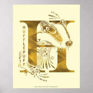 Harry Potter | Aguamenti HUFFLEPUFF™ Graphic Poster