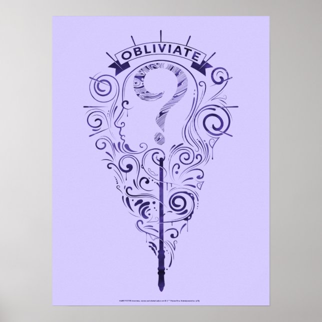 Harry Potter | Aguamenti Obliviate Graphic Poster (Front)