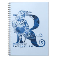 Harry Potter | Aguamenti RAVENCLAW™ Graphic