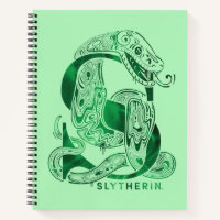 Harry Potter | Aguamenti SLYTHERIN™ Graphic
