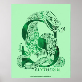 Harry Potter | Aguamenti SLYTHERIN™ Graphic Poster