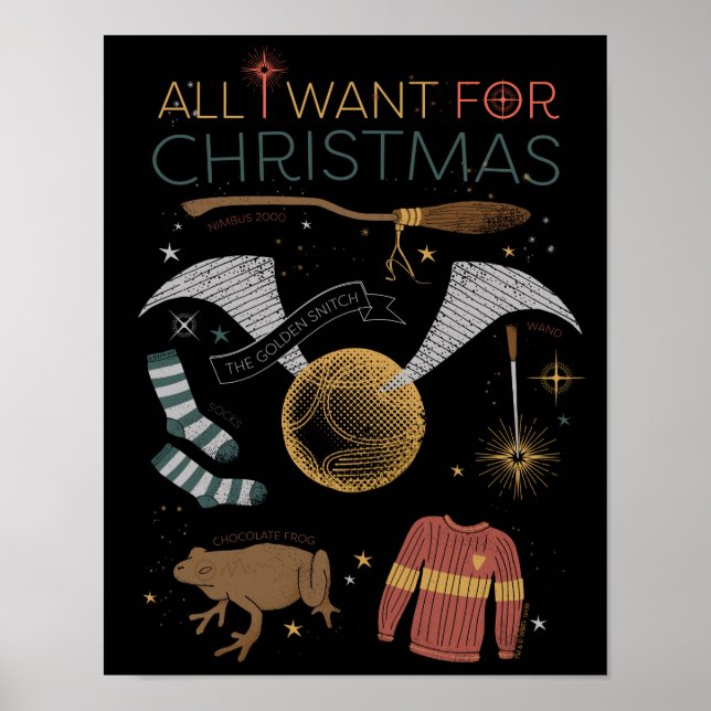 HARRY POTTER™ All I Want For Christmas Poster (Front)