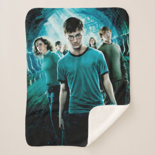 HARRY POTTER AND THE ORDER OF THE PHOENIX™ Blue Sherpa Blanket