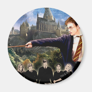 HARRY POTTER AND THE ORDER OF THE PHOENIX™ MAGNET