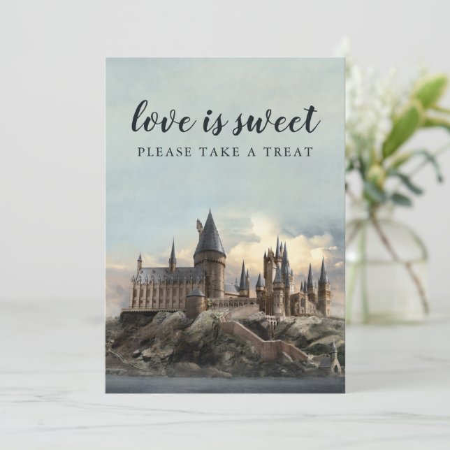 Harry Potter Bridal Shower Please Take One Invitation (Standing Front)