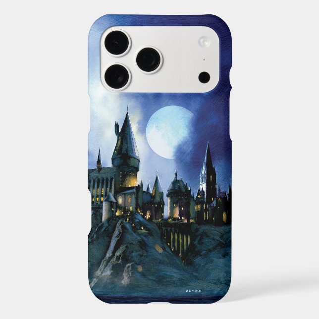 Harry Potter Castle | Hogwarts at Night (Back)
