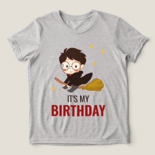 HARRY POTTER™ Character Magical Arch Birthday  Tri-Blend Shirt