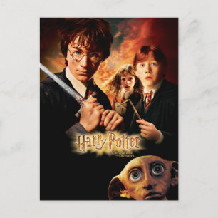Harry Potter et la Chambre des Secrets French Postcard