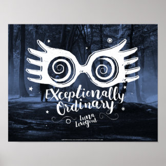 Harry Potter | Exceptionally Ordinary Poster