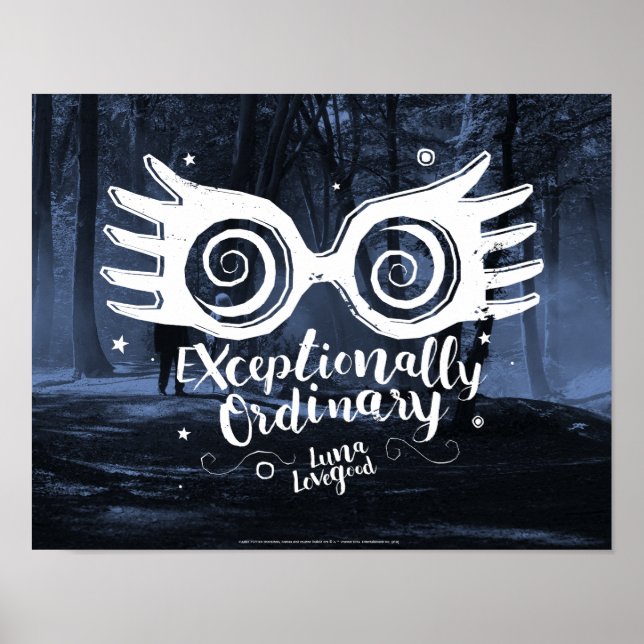 Harry Potter | Exceptionally Ordinary Poster (Front)
