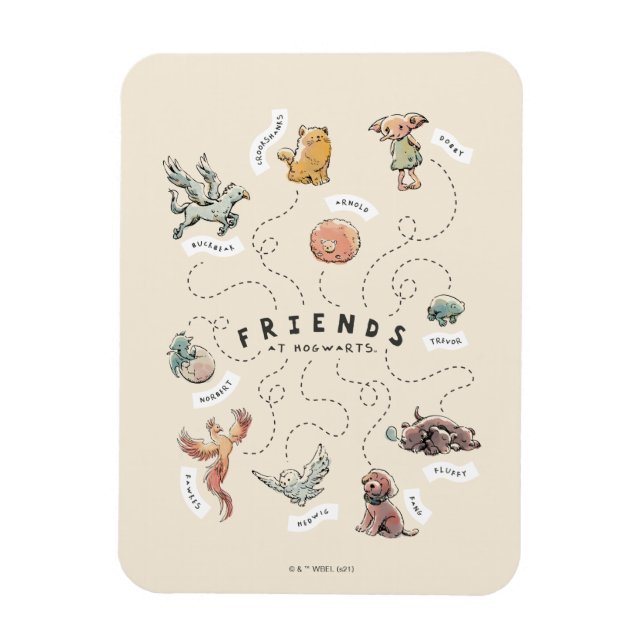 HARRY POTTER™ | Friends of Hogwarts Magnet (Vertical)