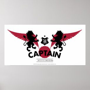 Harry Potter   GRYFFINDOR™ House Quidditch Captain Poster