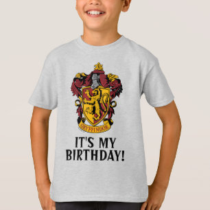 Harry Potter Gryffindor - It's My Birthday T-Shirt