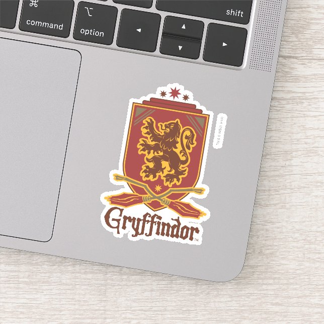 Harry Potter | Gryffindor QUIDDITCH™  Badge (Detail)