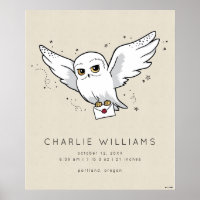 Harry Potter | Hedwig Baby Birth Stats