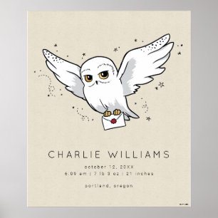 Harry Potter Hedwig Baby Birth Stats Poster