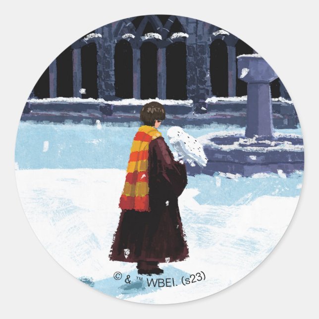 HARRY POTTER™ & Hedwig in HOGWARTS™ Courtyard Classic Round Sticker (Front)