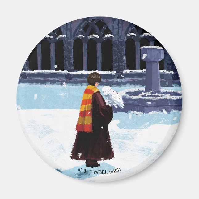 HARRY POTTER™ & Hedwig in HOGWARTS™ Courtyard Magnet (Front)