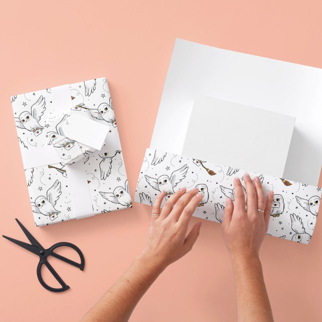 Harry Potter | Hedwig Pattern - Baby Shower Wrappi Wrapping Paper Sheet (Creator Uploaded)