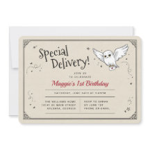 Harry Potter Hedwig Special Delivery Birthday