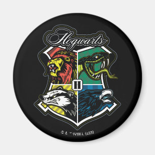 HARRY POTTER™   HOGWARTS™ Athletic Badge Magnet
