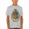 Harry Potter | Hogwarts Crest - Full Colour
