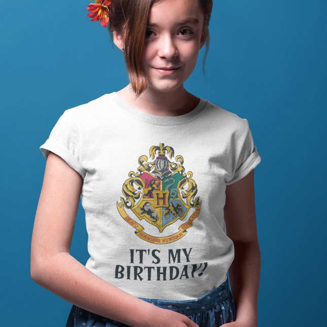 Harry Potter | Hogwarts - It's My Birthday T-Shirt (Creator Uploaded)