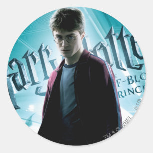 Harry Potter HPE6 2 Classic Round Sticker