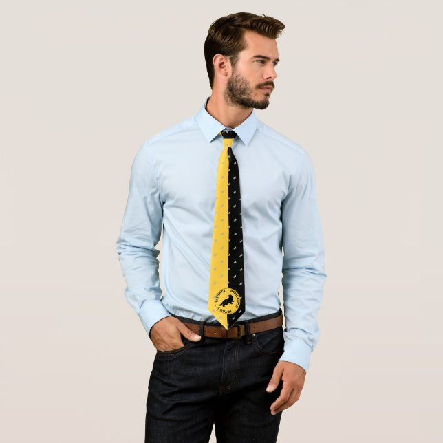 Harry Potter | HUFFLEPUFF™ House Traits Graphic Tie (In Situ)