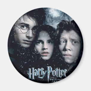 Harry Potter Movie Poster Magnet