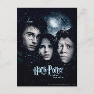 Harry Potter Movie Poster Postcard