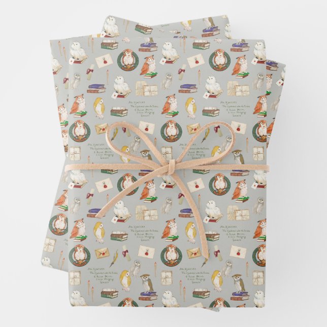 HARRY POTTER™ | Owl Letter Pattern Wrapping Paper Sheet (In situ)