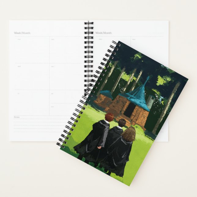 HARRY POTTER™, Ron, & Hermione at Hagrid's Hut Planner (Display)